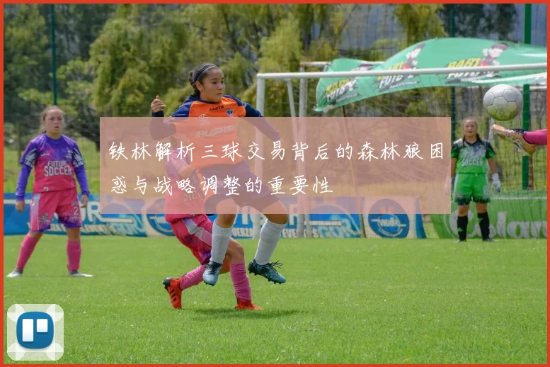 铁林解析三球交易背后的森林狼困惑与战略调整的重要性
